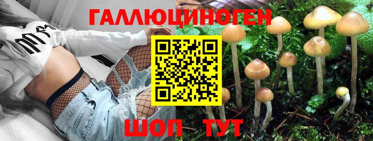 Камышин  Галлюциногенные грибы прущие грибы  Вход с VPN 