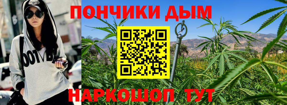 Камышин  Бошки Шишки семена  Шишки марихуана гибрид  Бошки Шишки OG Kush  Вход с VPN 